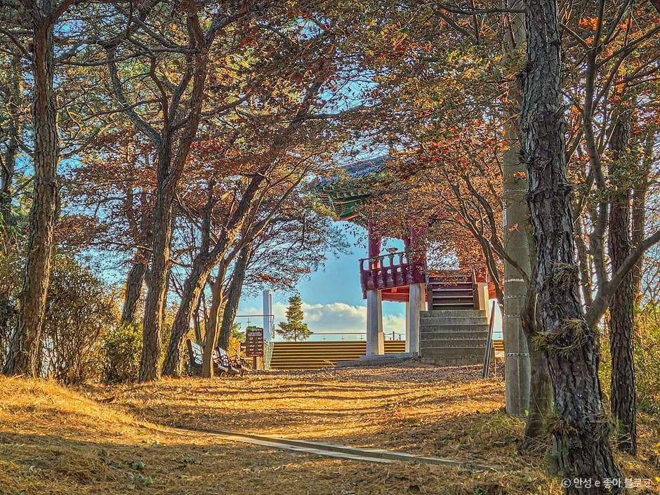 안성_비봉산 (8)