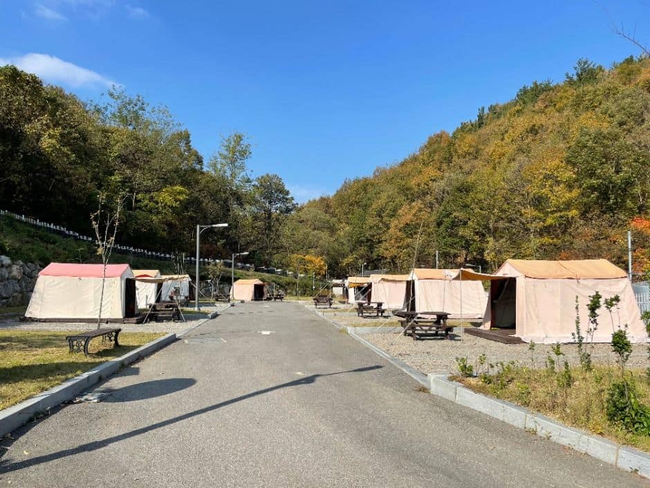 세종_전월산국민여가캠핑장 (1)