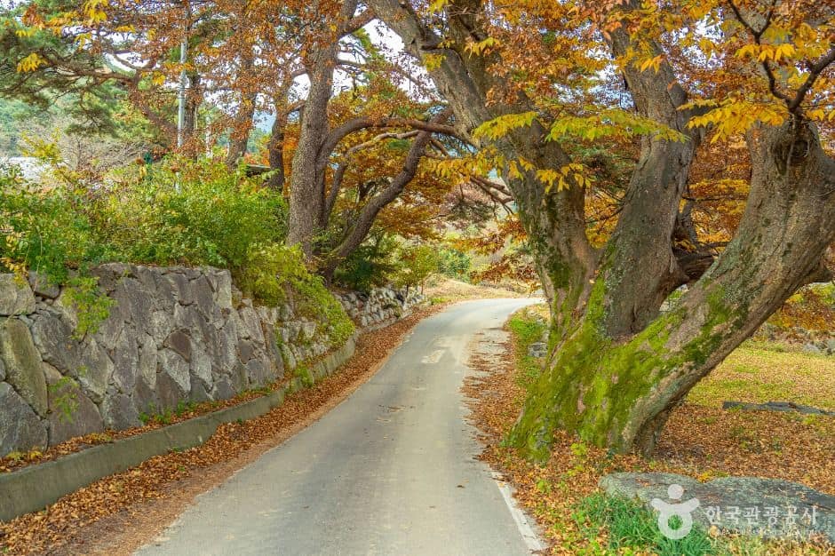 남원_남원 추어마을 (2)
