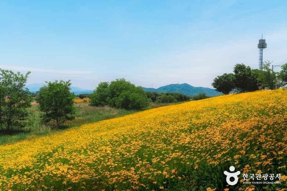 경북_구미_강정습지_외부_5-1.jpg