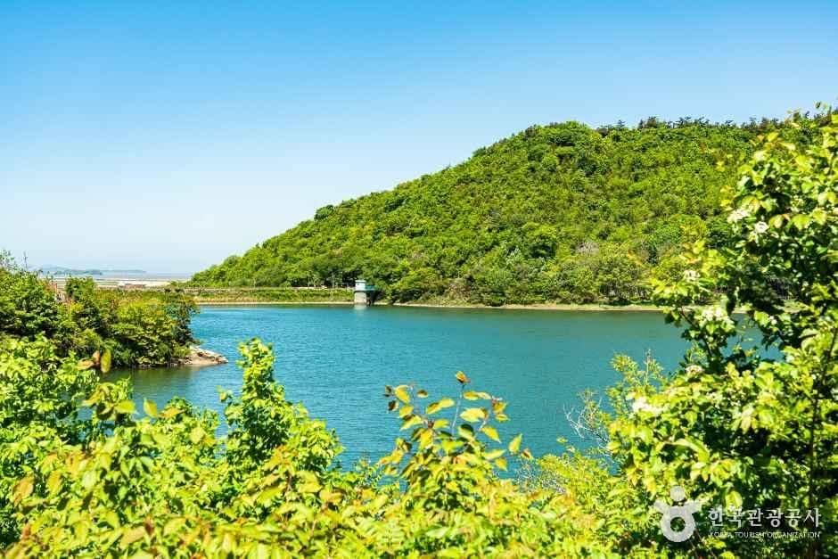 군산_월명공원 (6).jpg