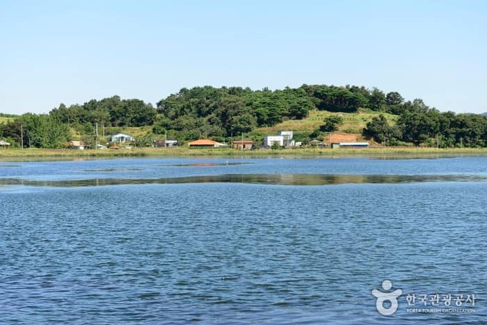 충남_보령_진죽 저수지02