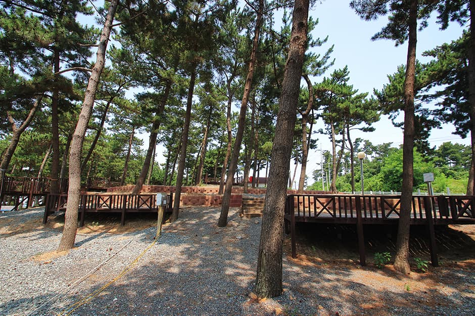 곰섬오토캠프장_데크1