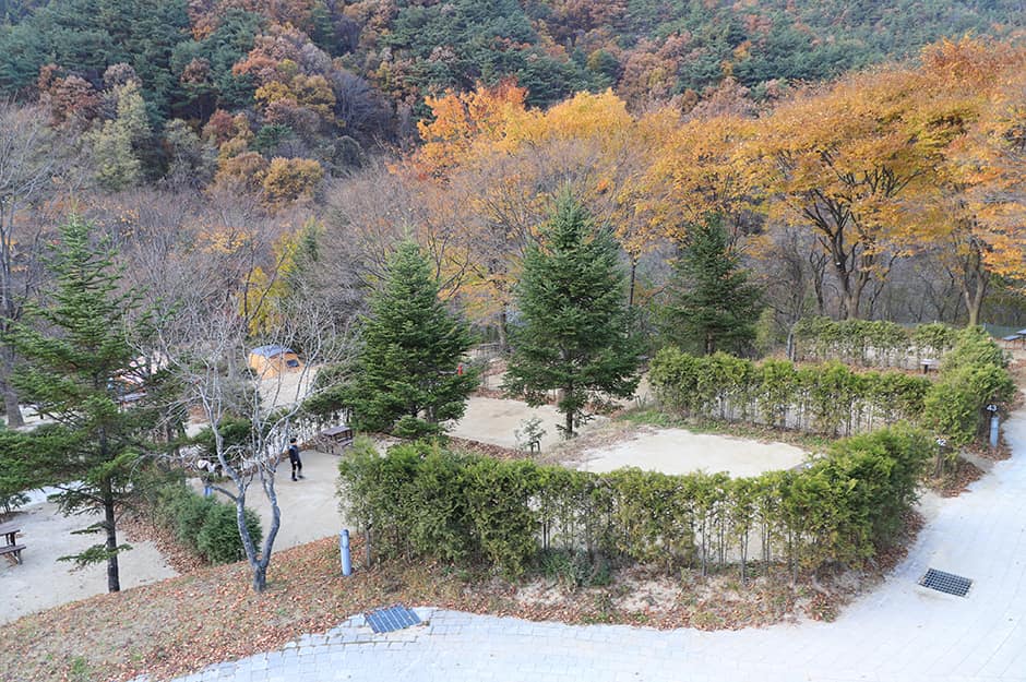 금대자동차야영장_전경2