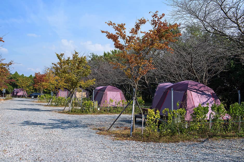 함평나비마을 서울캠핑장 전경