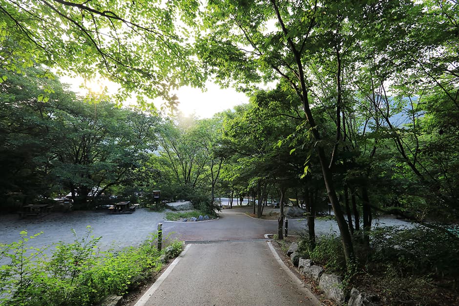 계룡산동학사야영장 사진 2