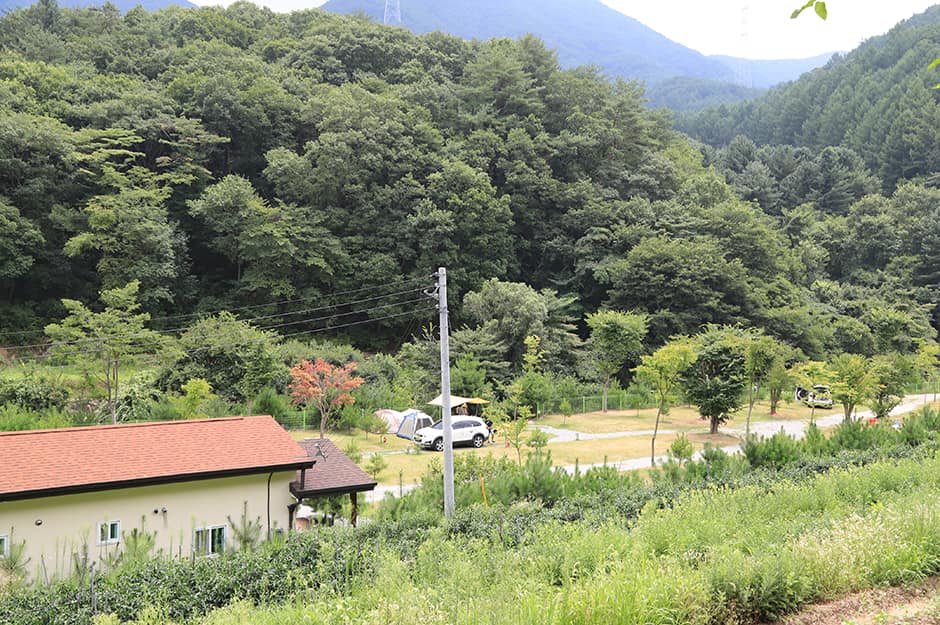 경기도_양평군_천사봉오토캠핑장_전경