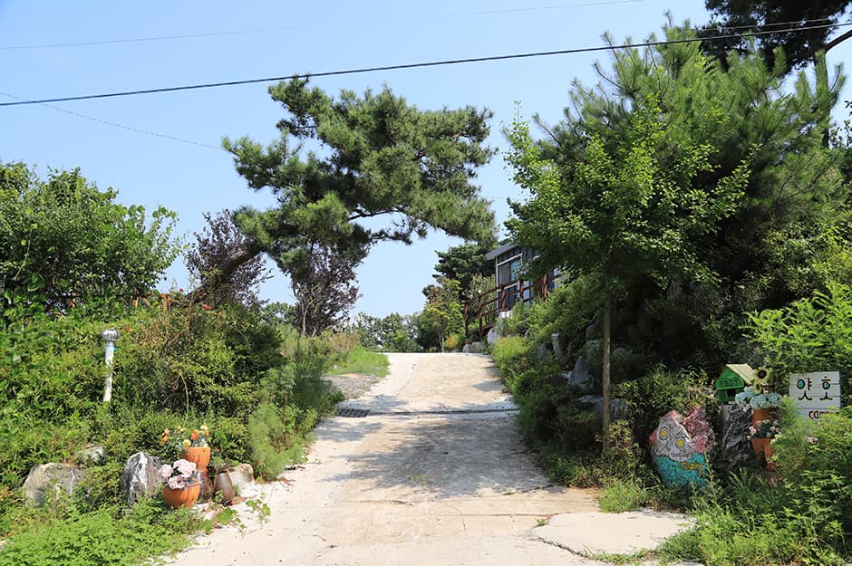 인천시_강화군_얏호캠핑장_입구