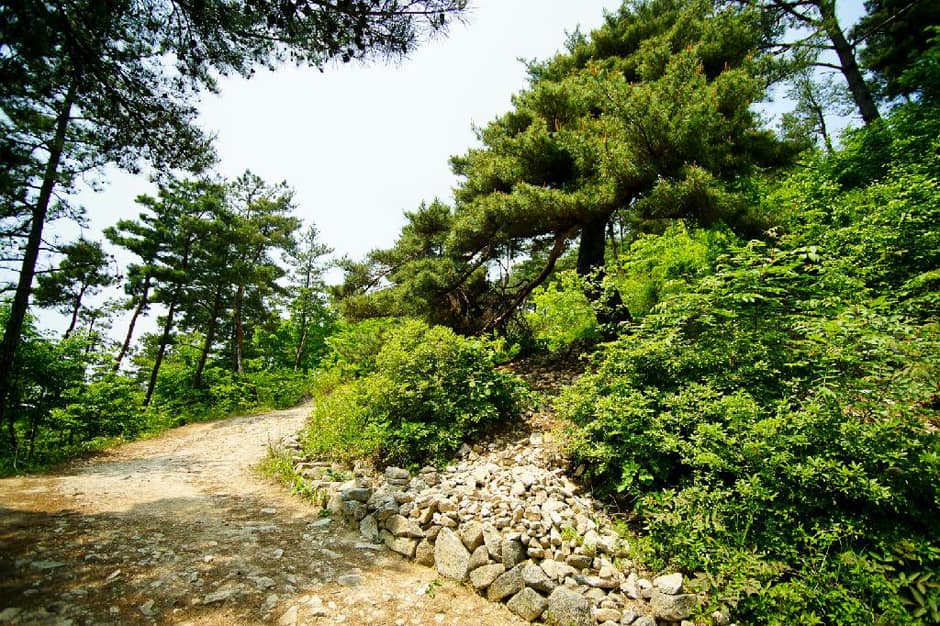 전북_남원시_회덕마을_전경 (5)