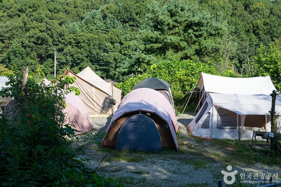 화석정캠핑장 (3)