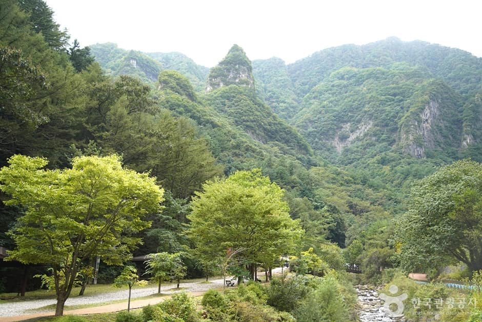 덕항산 (15)