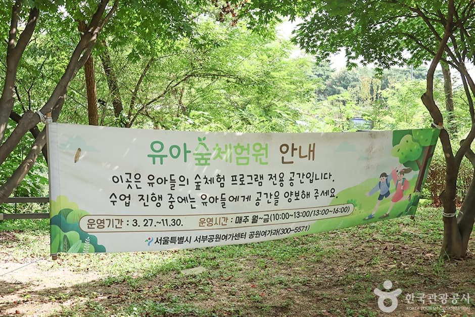 월드컵공원 유아숲체험원 (9)