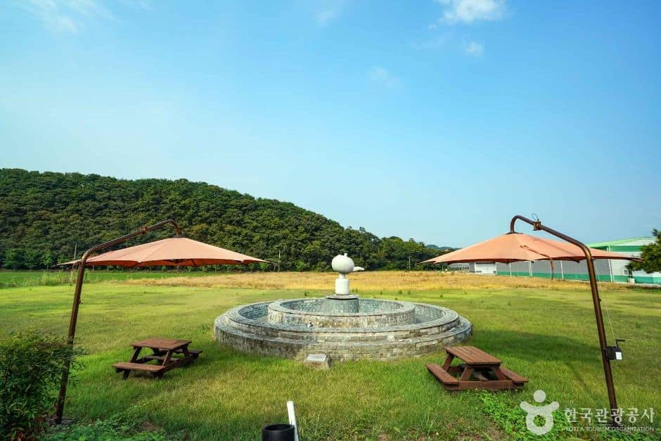사천녹차단지 (7)