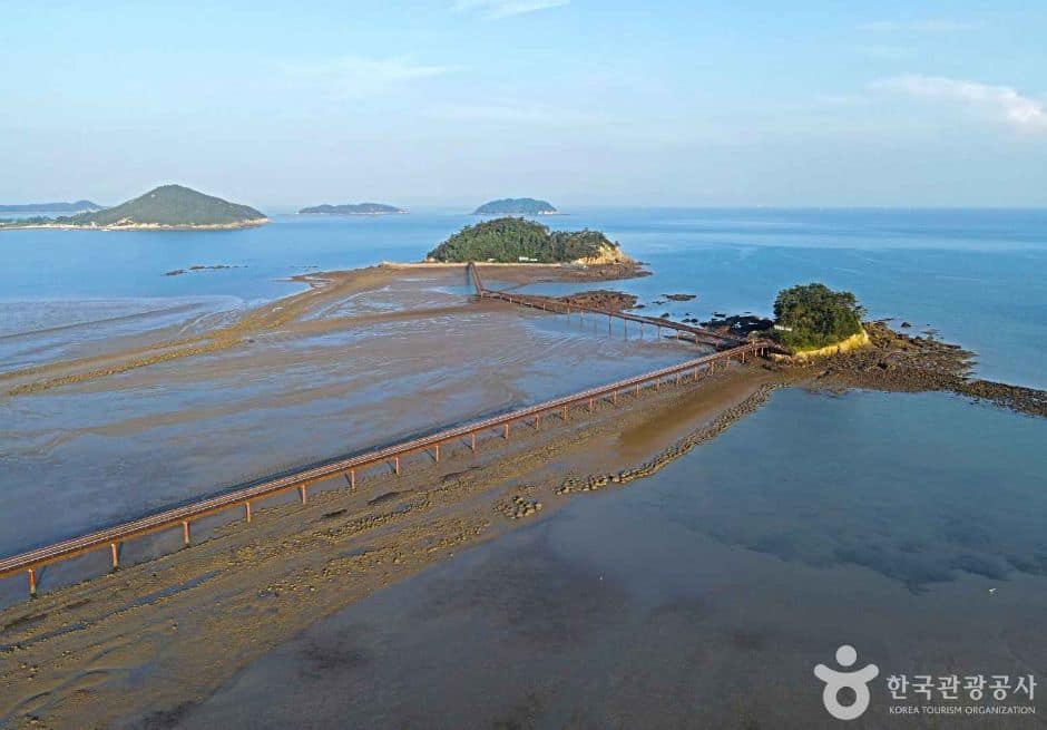 신안_무한의다리 (7)