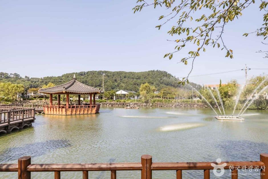 제주_연화못(하가못) (7)