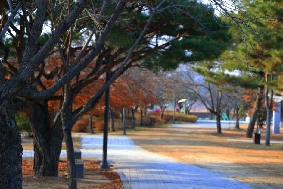 부여_백마강 친환경 자전거길 (3)