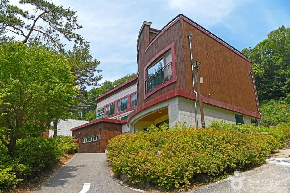 진천_생거진천 자연휴양림 (1)
