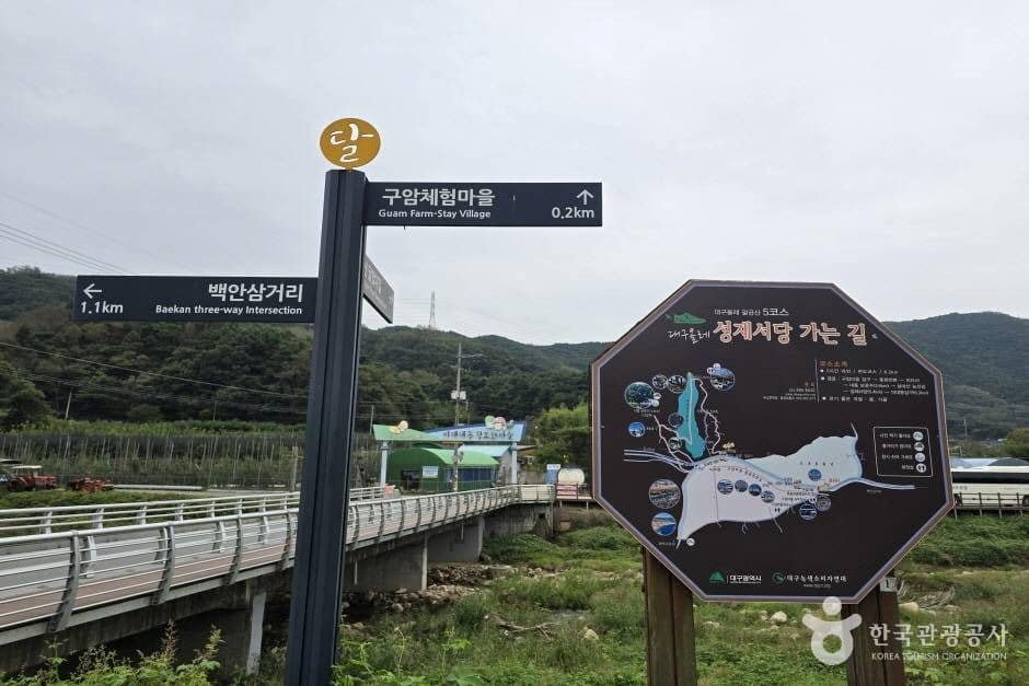 대구올레 팔공산 5코스 구암마을 가는 길_e (2)