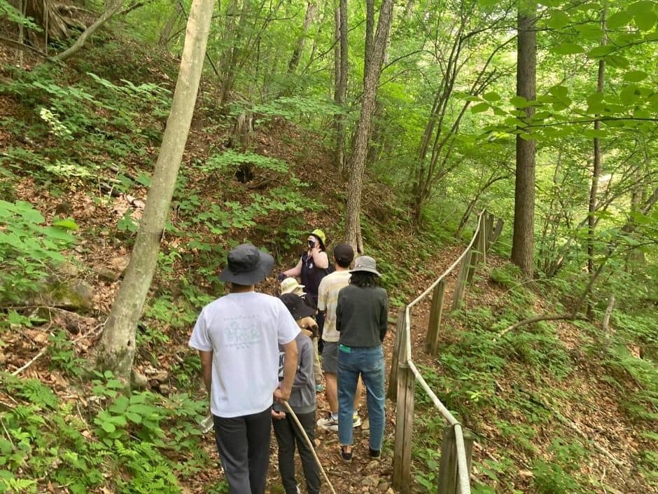 국립청옥산자연휴양림 (5)