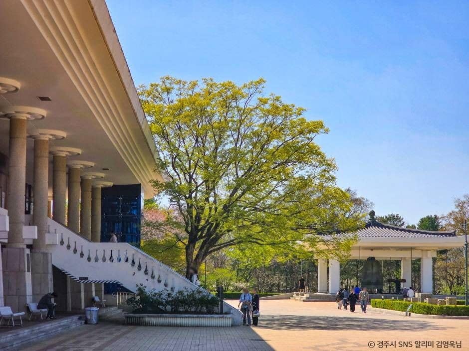 경주_국립경주박물관 (2)