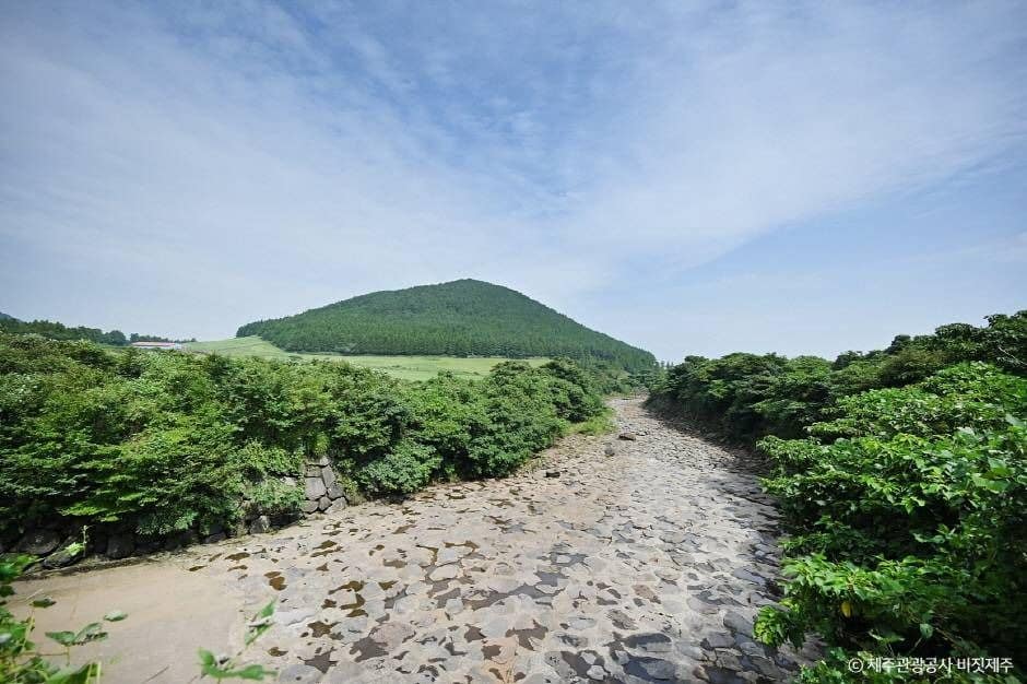 서귀포_개오름 (5)