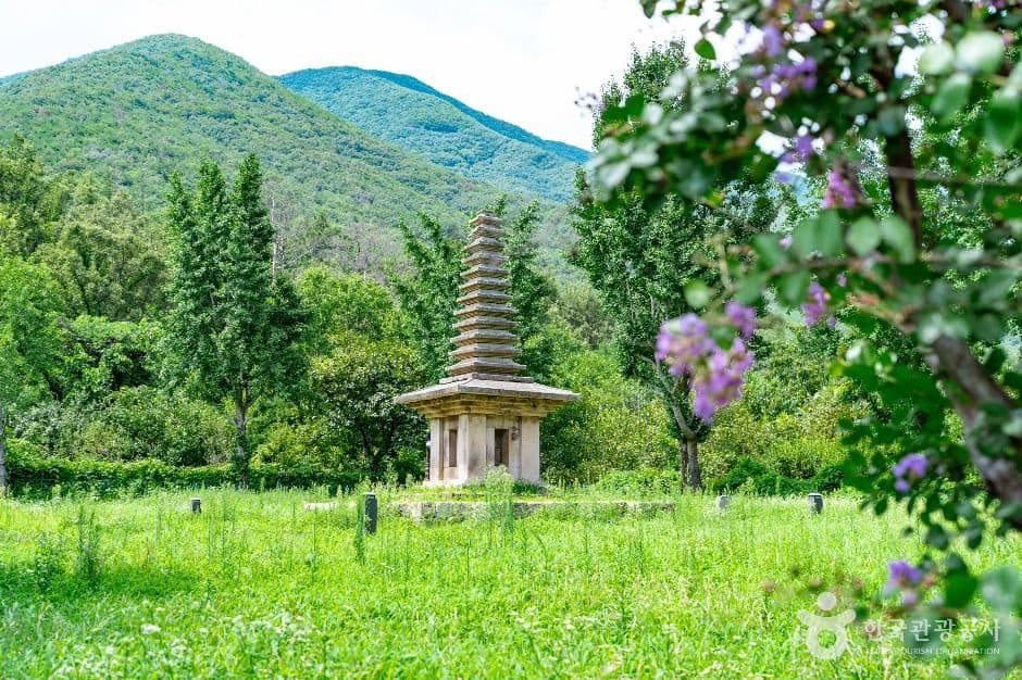 경주_경주 정혜사지 십삼층석탑 (1)