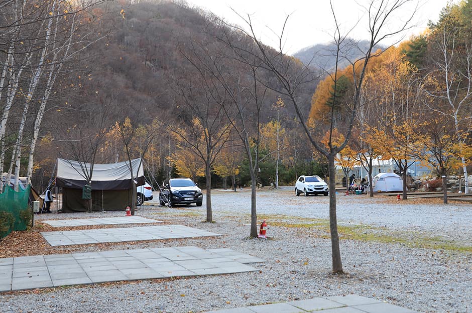 흥정계곡캠핑700_전경2