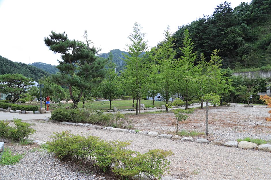 강원도_인제군_인제 아리캠핑장_캠핑장