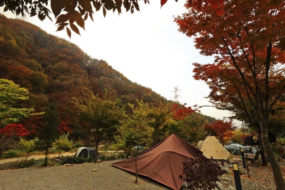 마중펜션캠핑장 (3)