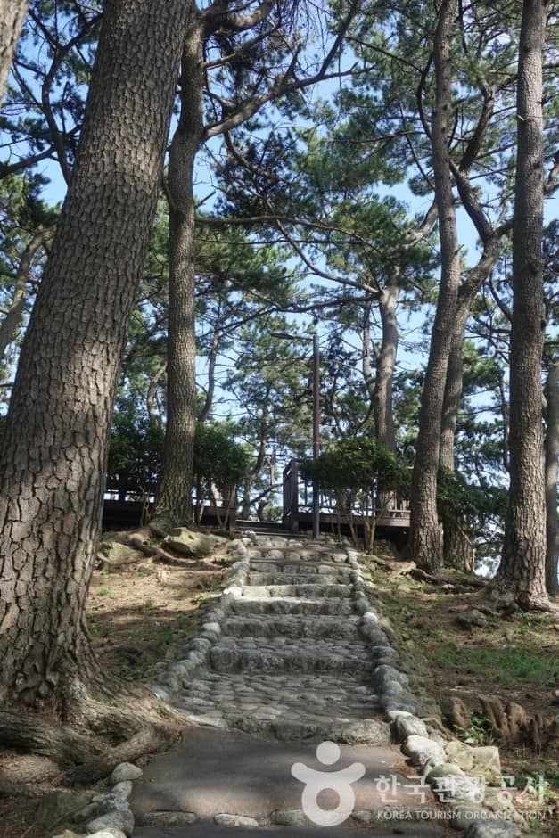 송정죽도공원(1)_수정