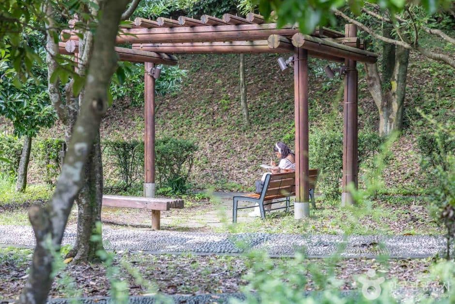 제주_서귀포시_천지연 걸매생태공원_129395 (9)