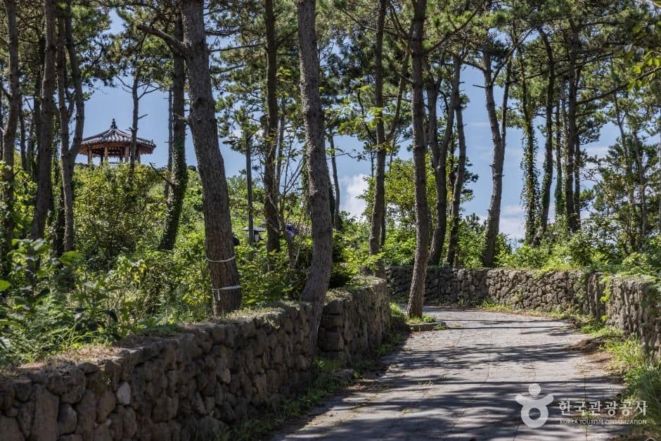 [제주올레 18-2코스] 하추자 올레 (1)