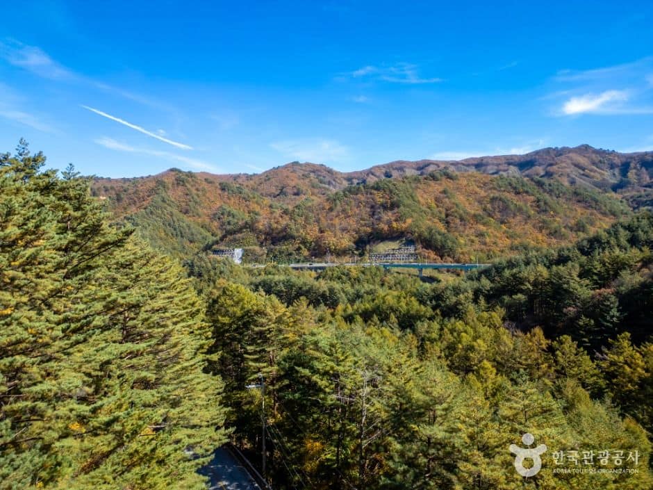 봉화_청옥산(봉화) (1)