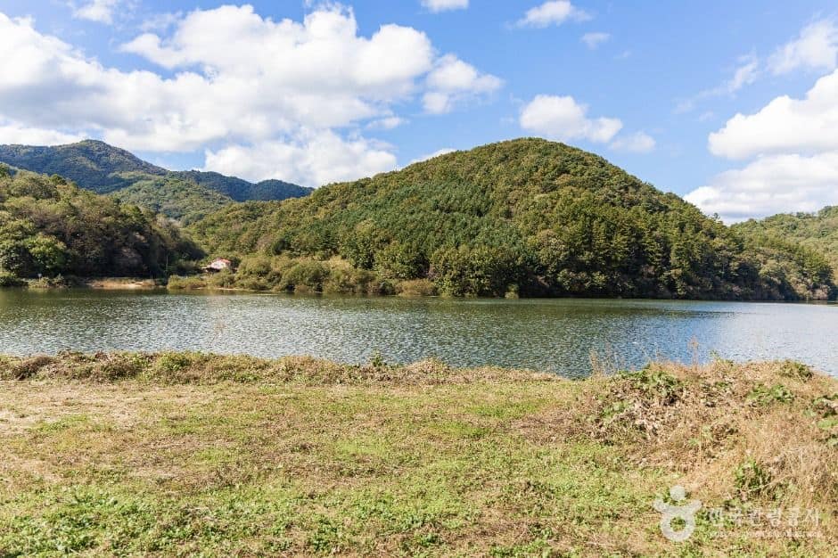 음성군_충도저수지 (4)