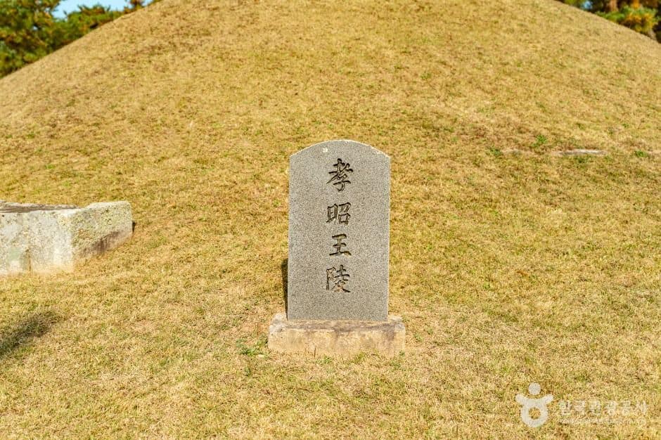 경주_경주 효소왕릉 (5)