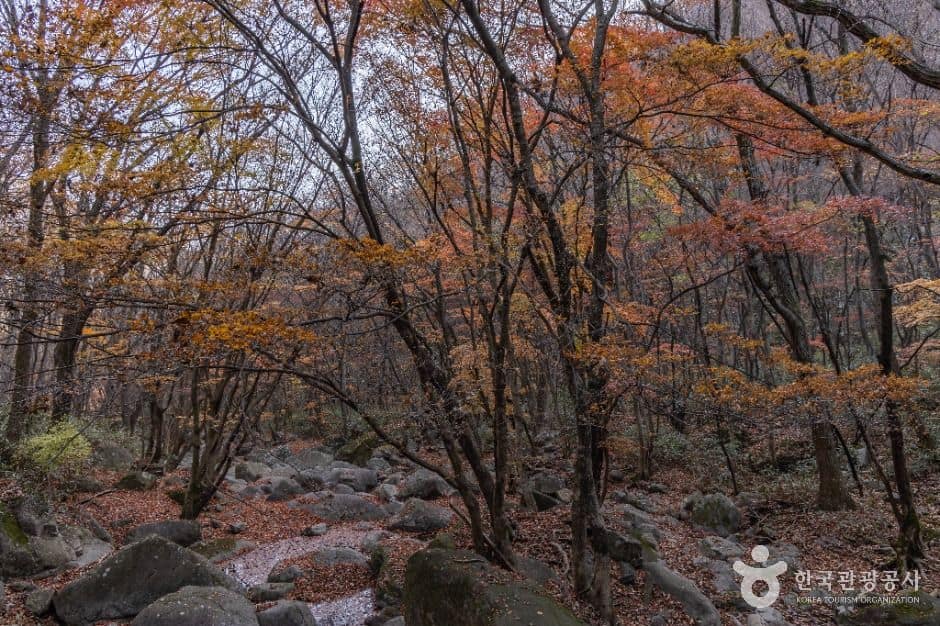 정읍_입암산 (4)