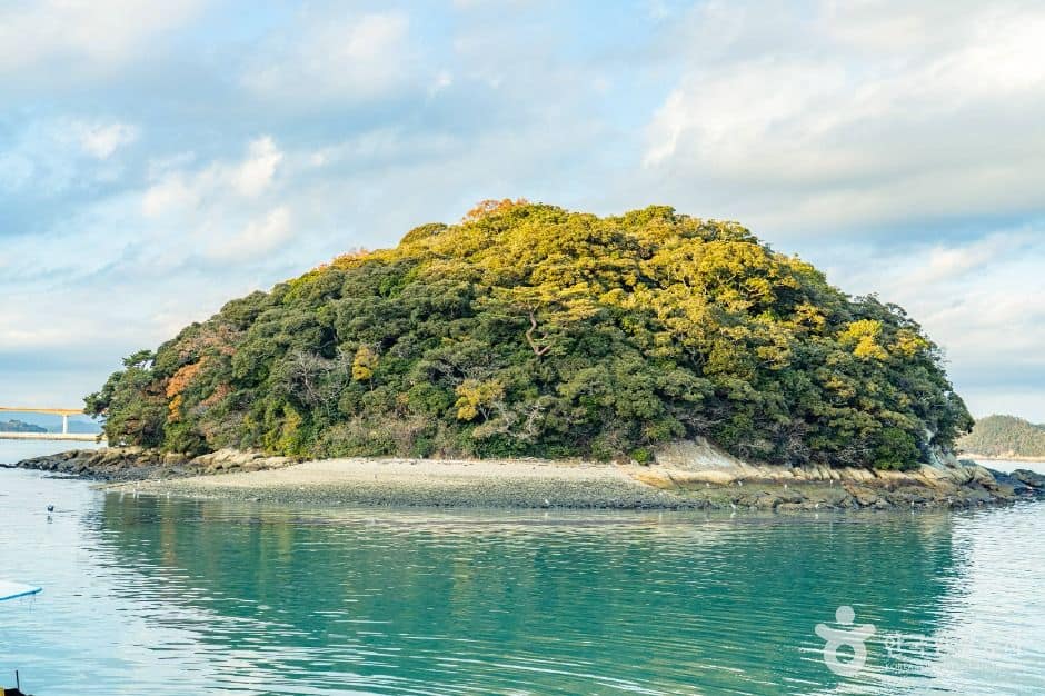 완도_주도 (6)