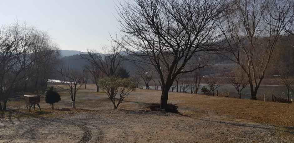 안성_용설호수캠핑장 (5).jpg