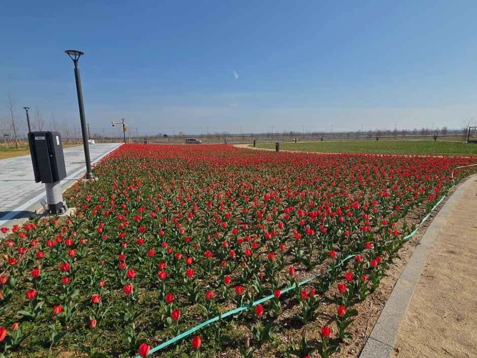 화성_화성에코팜테마파크 (4).jpg