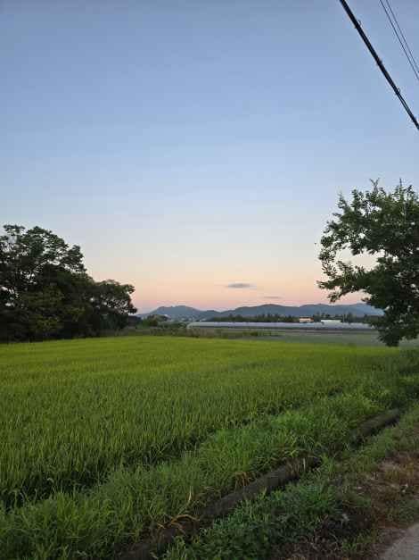 부산_러블리가든(사계, 나를심다) (5).jpeg
