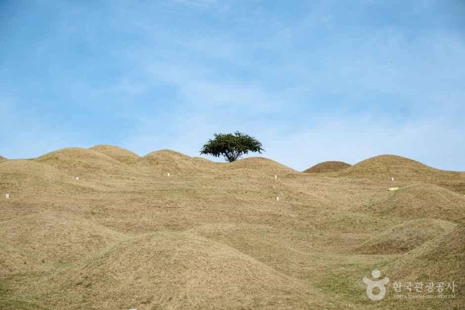 대구_동구_대구 불로동 고분군_외부_9.jpg