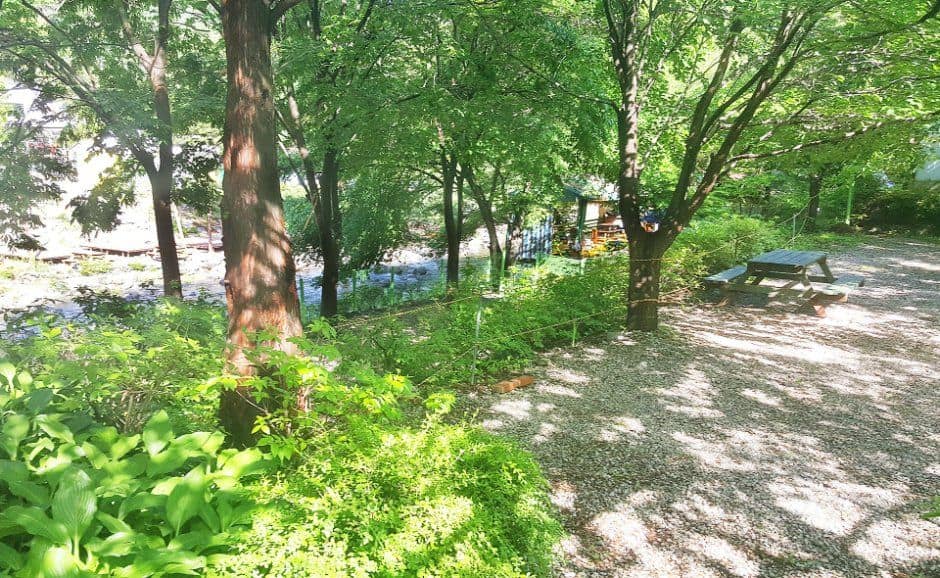 가평_유명산 들꽃여울 캠핑장 (5).jpg
