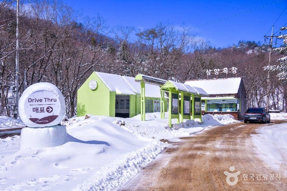 대관령 삼양라운드힐