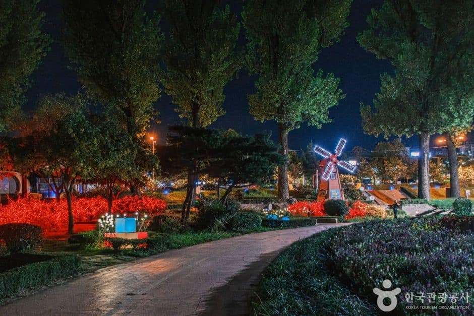 보강천 미루나무숲