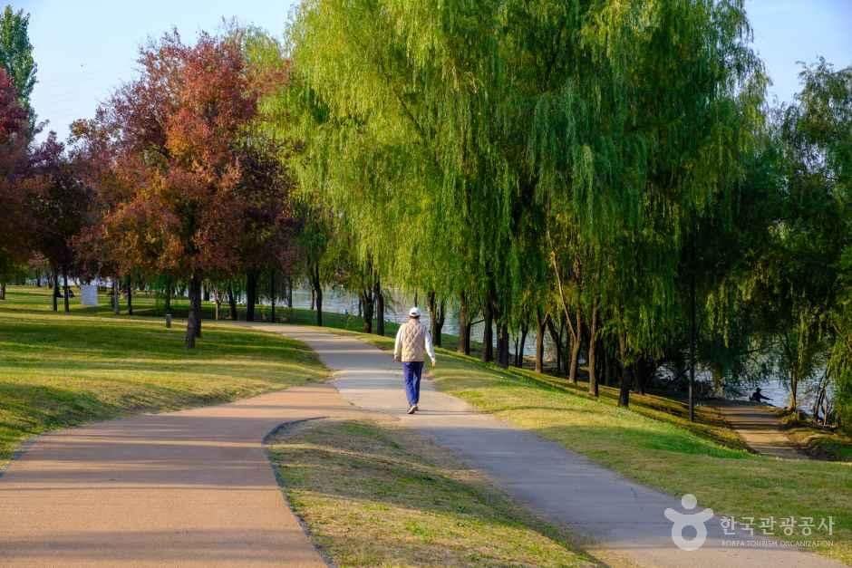 양화한강공원