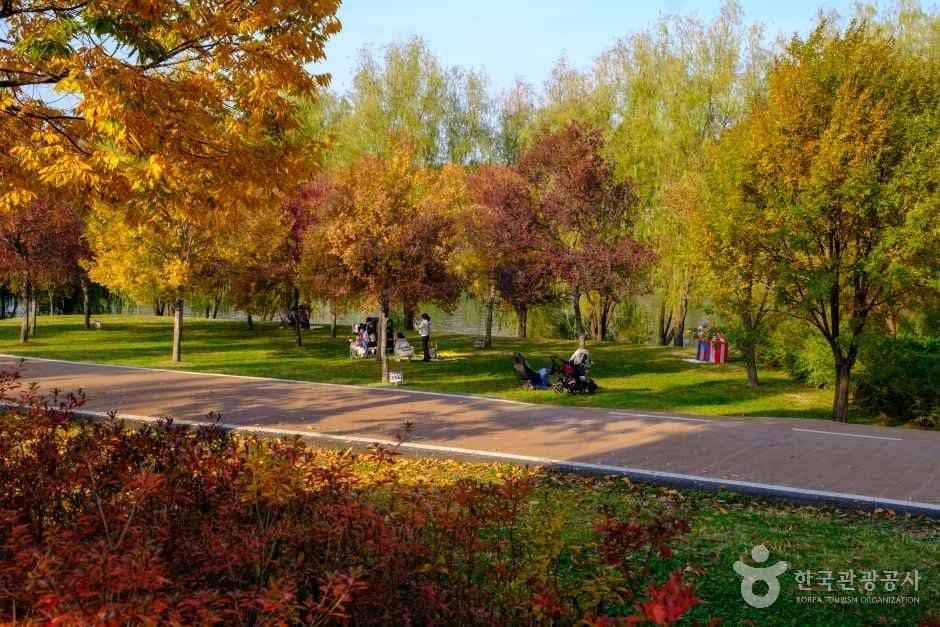 양화한강공원