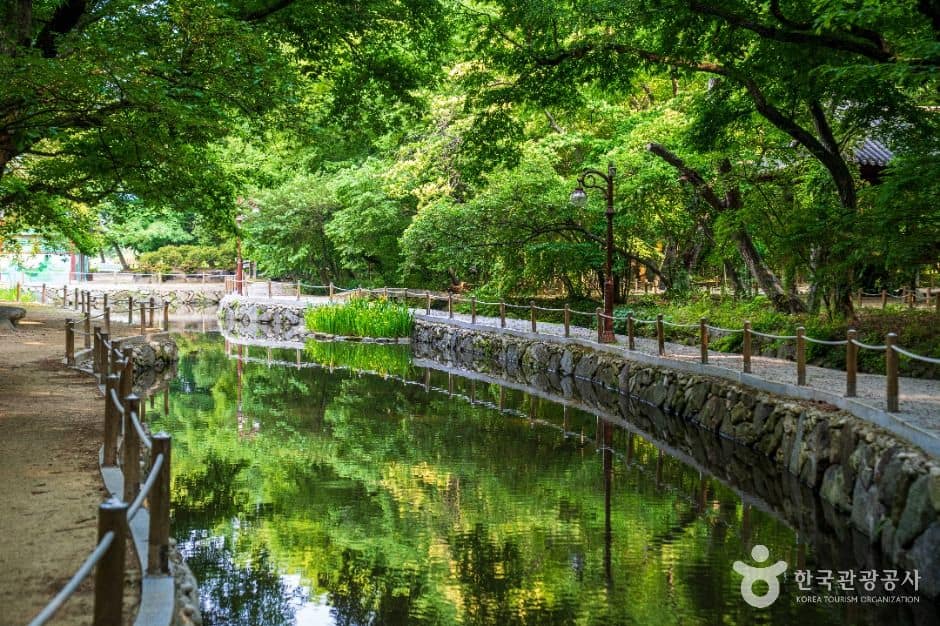 함양 상림공원