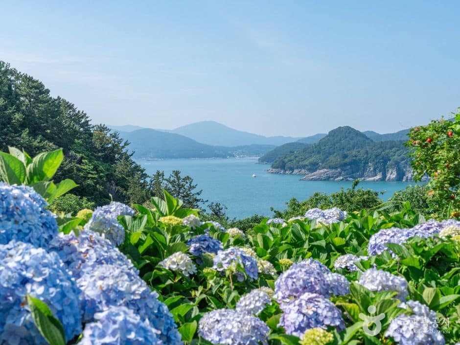 거제 외도 보타니아
