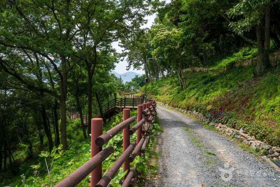 약산해안치유의 숲