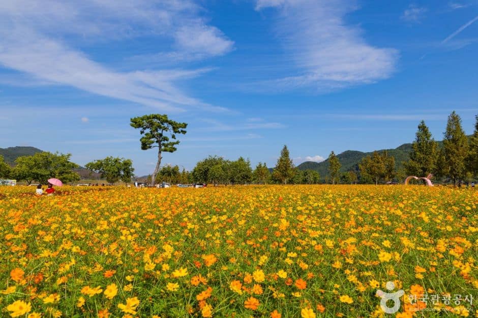 호국의병의 숲 친수공원